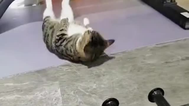 After the fish, you can pump up