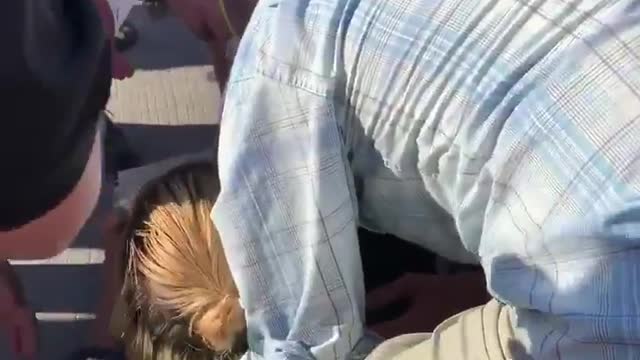 Not going to lie I found this hilarious