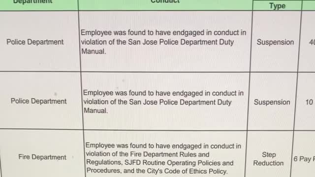 City Employee disciplinary