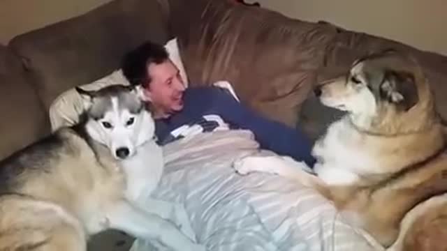 Jealous dog demands more attention