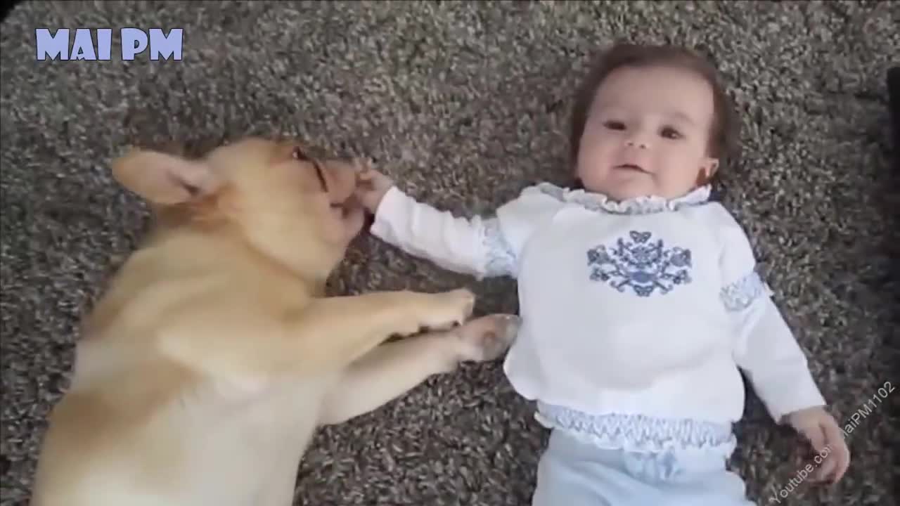 Cutest Relationship French Bulldog And Baby