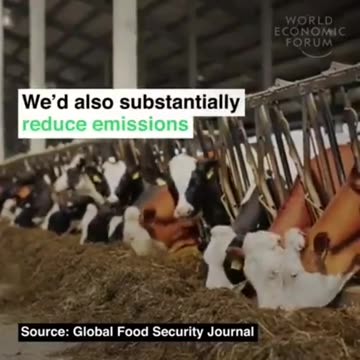 Finland🇫🇮🥖🍞🥨