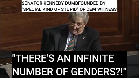 Sen. Kennedy Wrecks Woke Witness