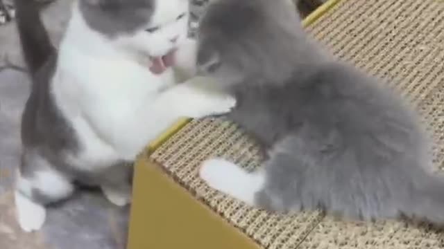 It's all about mom's love for you