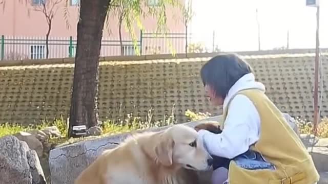 Cute and Funny Dogs Videos Compilation 2020 #shorts