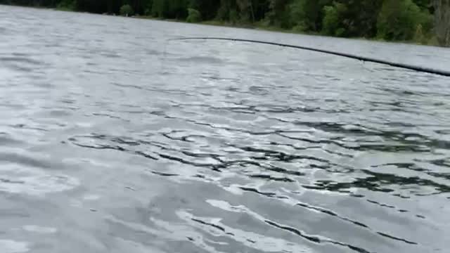 Patriot Fishing part 3-2