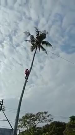 I THINK IT WAS NOT A GOOD IDEA