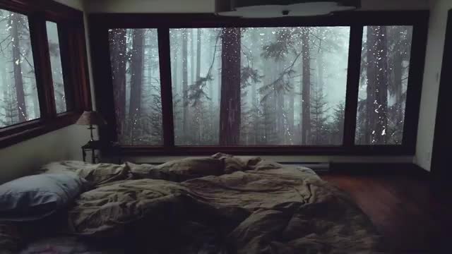 Relaxing rain sounds for sleep at night !