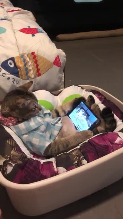 Viral video today shorts 10funny