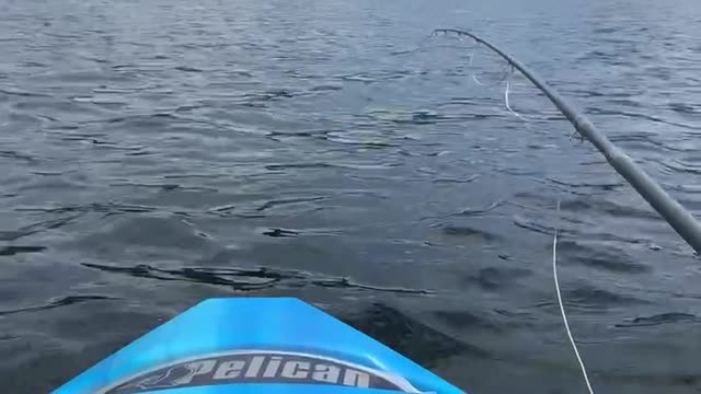 Patriot Fishing part 6-2