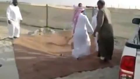 Very funny video with cheating