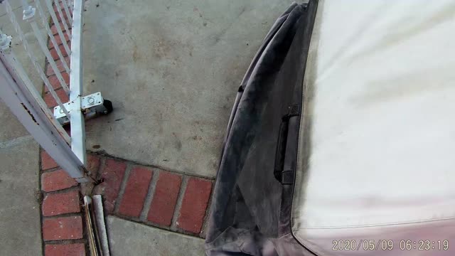 Wuhan lockdown ride