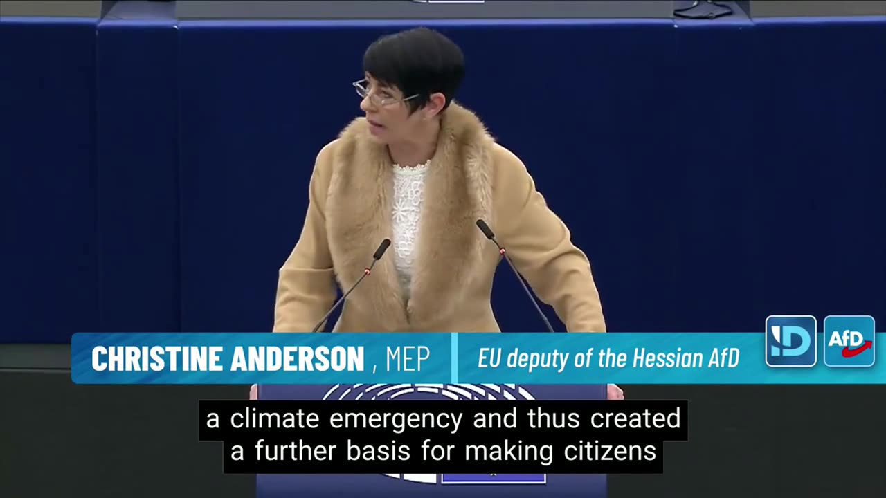 A member of the European Parliament speaking about "Green" madness