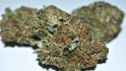 Buy Indica Marijuana Online Canada