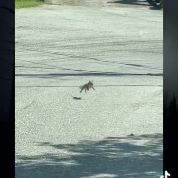 Crazy Glitches Caught On Camera