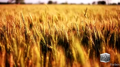 Infowars : The Collapse Blamed On The Unvaccinated