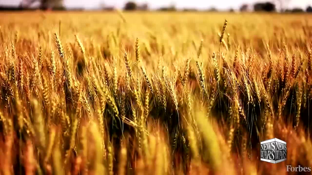 Infowars : The Collapse Blamed On The Unvaccinated