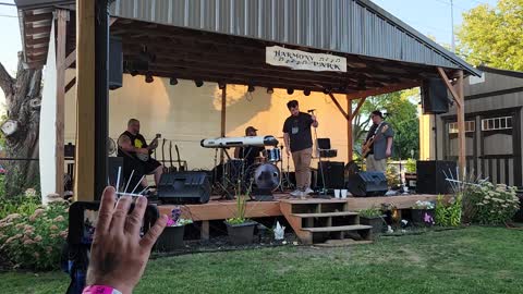 These Fine Gentlemen "Ghost" Badflower Cover