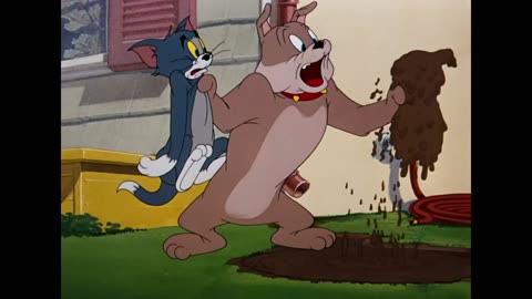 Tom & Jerry | Who is the Cutest? | Classic Cartoon Compilation | WB Kids