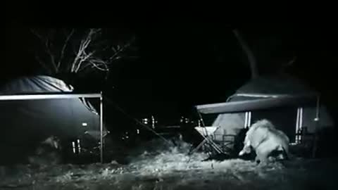 Camping in Africa 😳😱