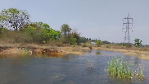 Beautiful lake