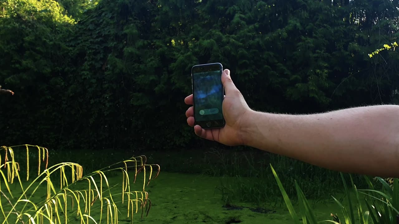 Do 5G Phone Calls Affect Insects Watch This Swarm React to an Incoming IPhone Call!