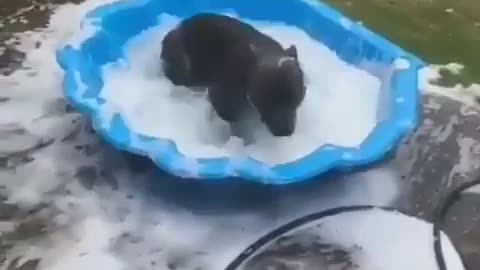 He likes to take a shower