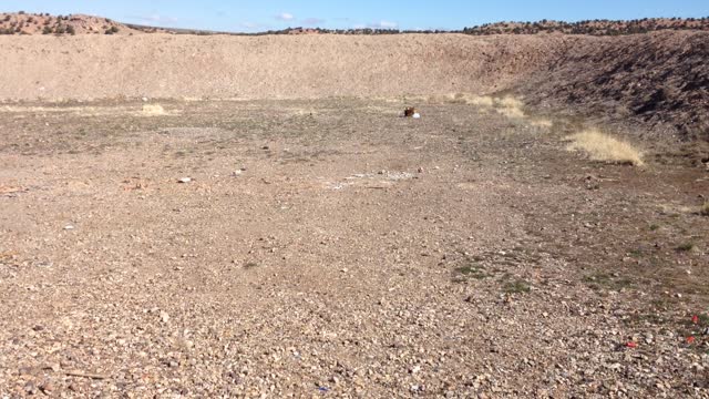 Cheapest exploding targets! well, not really exploding.