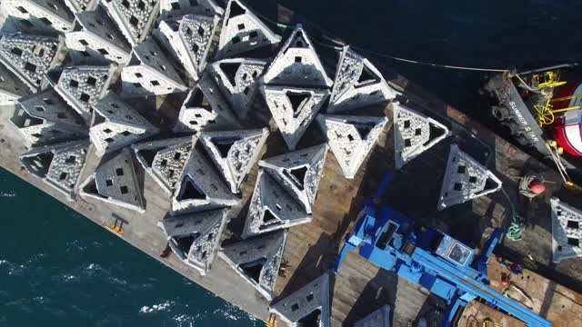 Paradise Reef Trailer