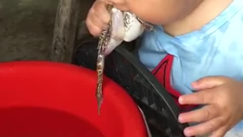 CUTE BABY WITH A FROG