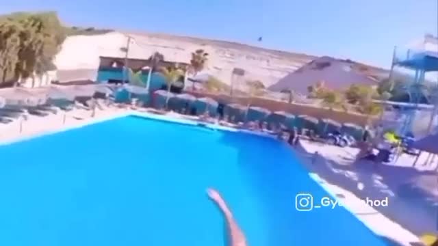 Fly Swimming 😯😂| funny memes |