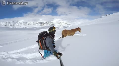 The guys rescued a horse from a snowdrift