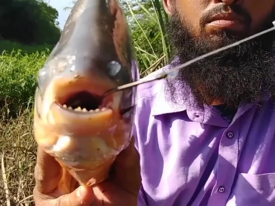 Most Satisfying Fishing Video #fish #fishing