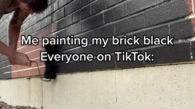 Me painting my brick blackEveryone on TikTok: