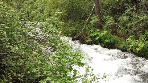 Spring Hollow, Logan Canyon