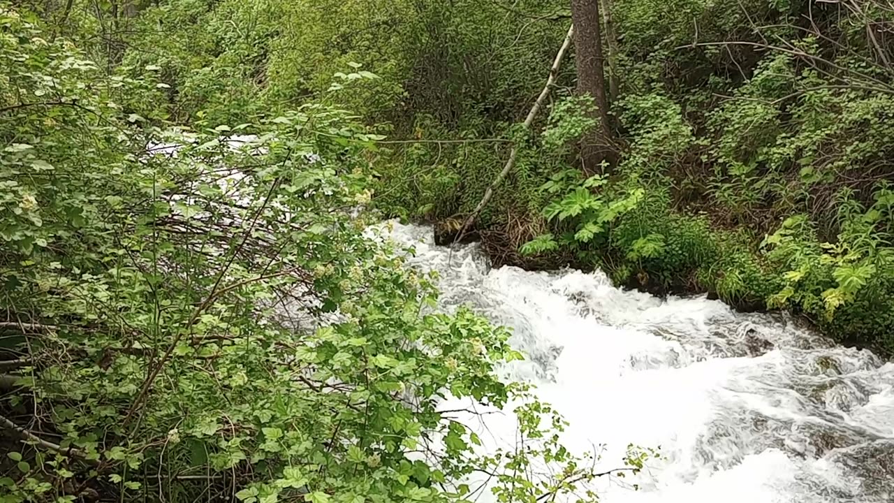 Spring Hollow, Logan Canyon