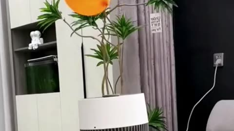 10 Inch Foldable Stand/Desk Fan up to 50 Hours 4 Speed Remote Control