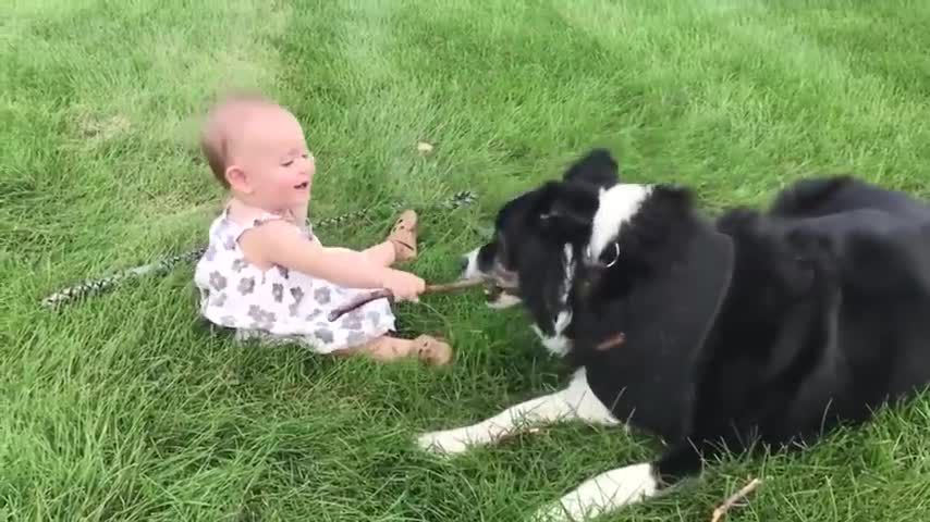 Cute Babies and dogs are best friend funny video