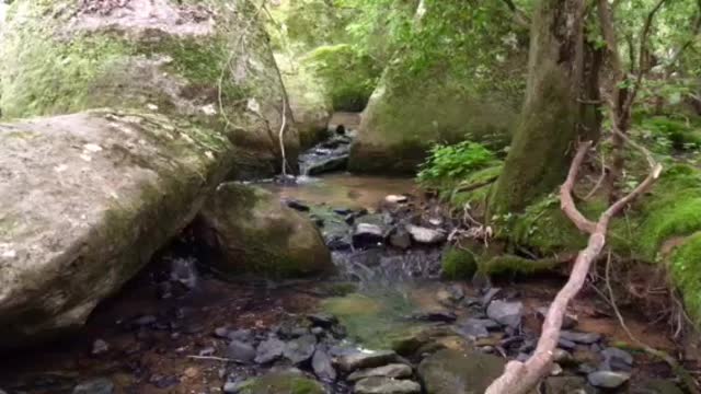 3 Minute Meditation Walkers Creek 201