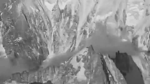 Unleash Your Passion and Dive into Your Dream