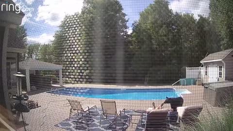 Bear Wakes Up Guy Taking a Nap By The Pool Captured Via Ring Security Camera