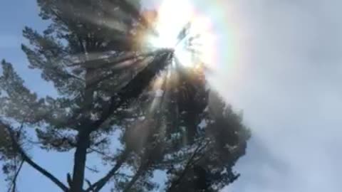 Stunning Rainbow Sunburst