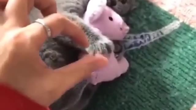 Lovely pink toy is mine