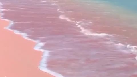 what a beautiful beach