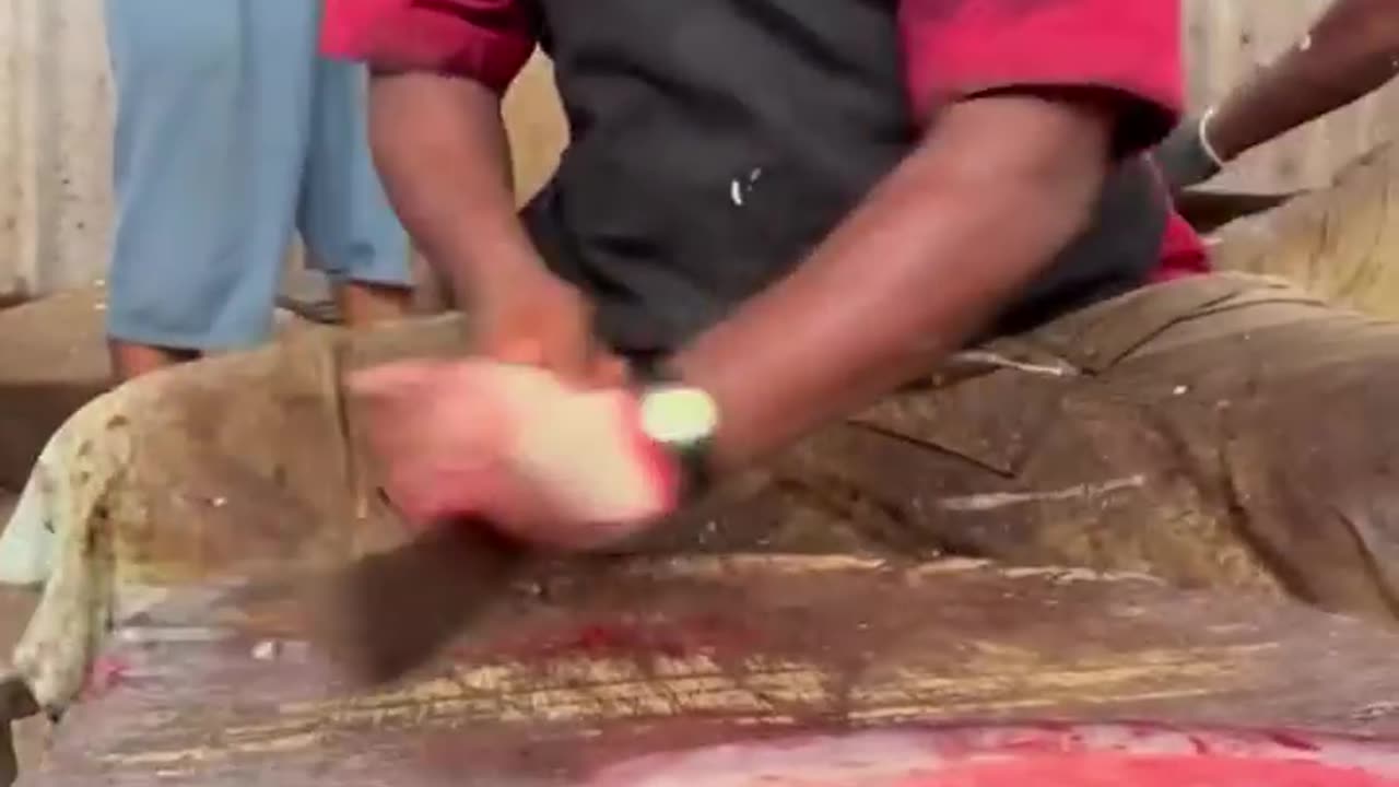 KASIMEDU SPEED SELVAM FISH CUTTING VIDEO FF CUTTING