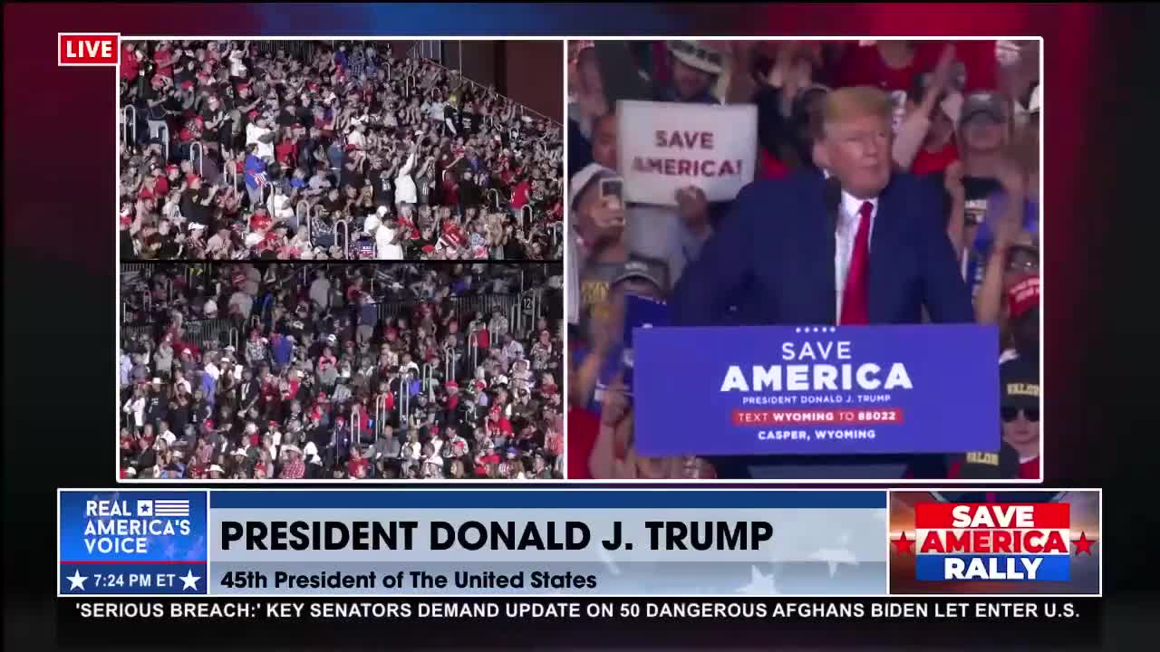 Trump proposes one-day voting with paper ballots