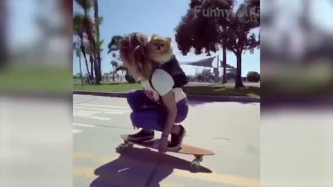 129 🤣 Funniest 🐶 Dogs And 😻Cats Try Not To Laugh Funny Pet Animals' Life 😇