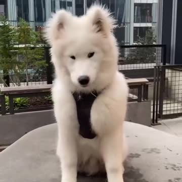 It’s like a cloud ☁️🥰