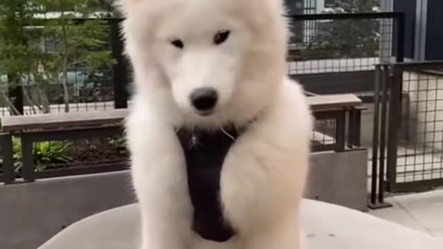 It’s like a cloud ☁️🥰
