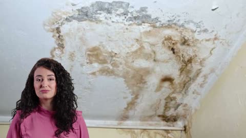 Mold Removal & Inspection Jacksonville - Emily